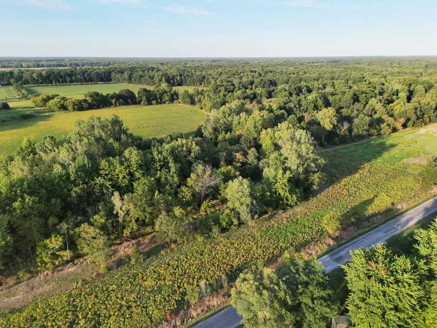 V/L Lot 3 Peet Road, Bannister, MI 48807 - #3