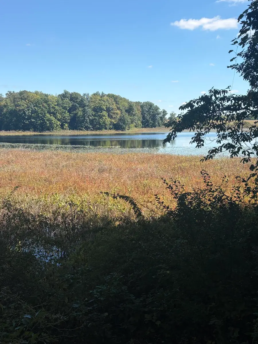 53901 Finch Road, Marcellus, MI 49067 - #2