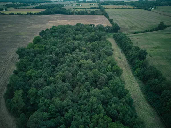 Herl Road, Bronson, MI 49028