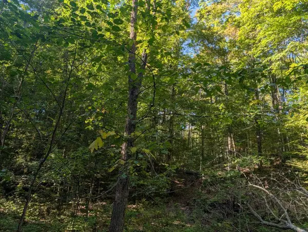 V/L Lewis Road, East Jordan, MI 49727