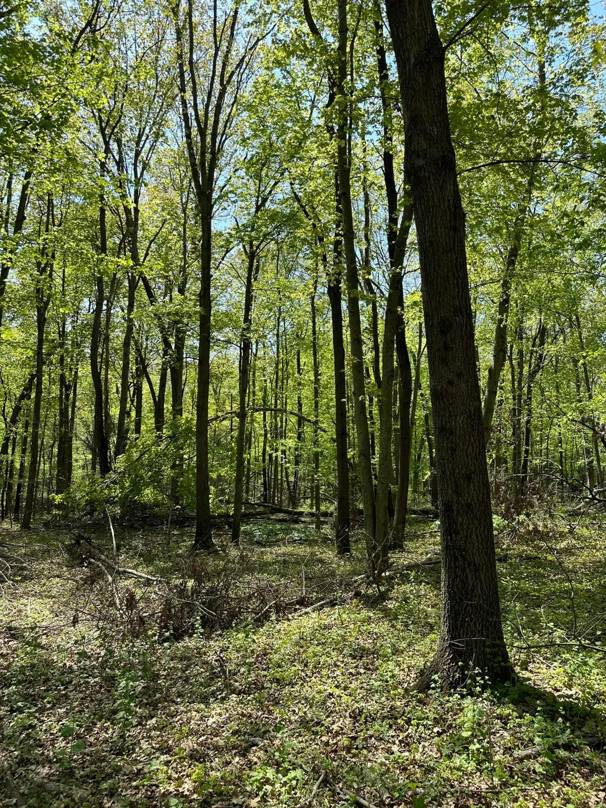 3102 W Kirby Road, Battle Creek, MI 49017 - #1
