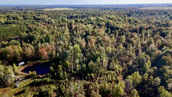190 N Crawford Road, Twining, MI 48766