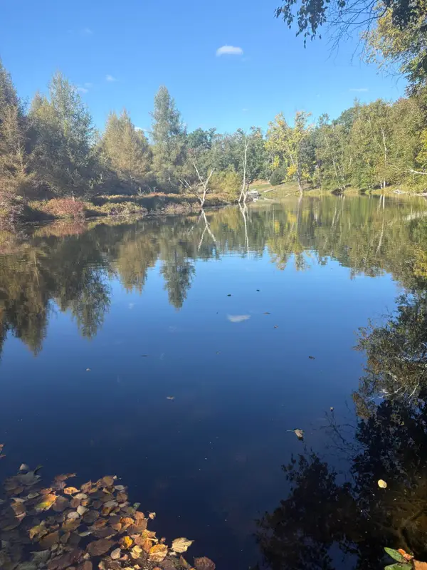 9025 Boggie Drive, Stanwood, MI 49346
