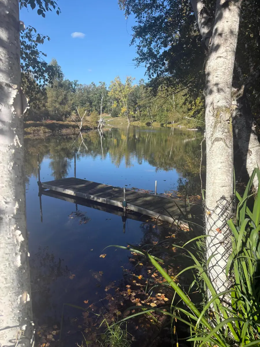 9025 Boggie Drive, Canadian Lakes, MI 49346 - #2