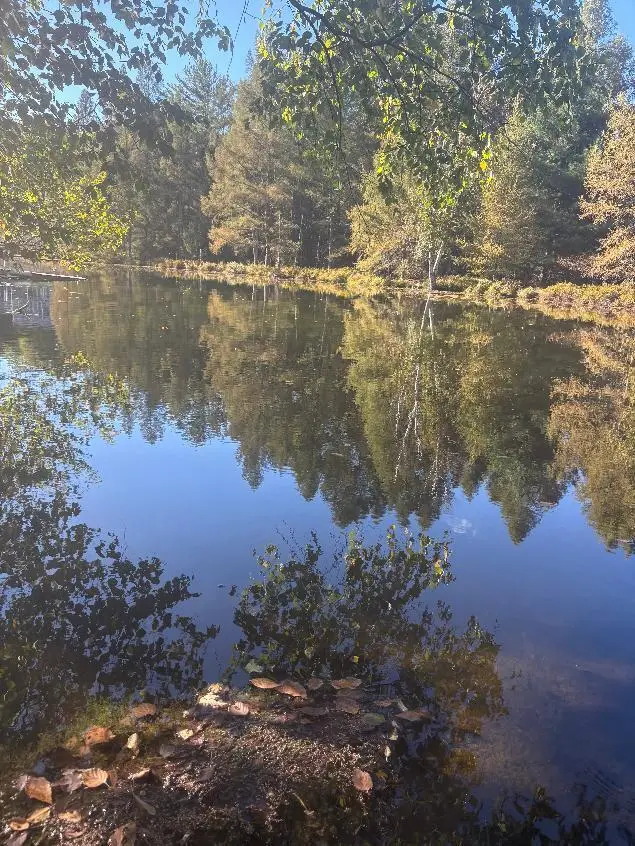 9025 Boggie Drive, Canadian Lakes, MI 49346 - #3