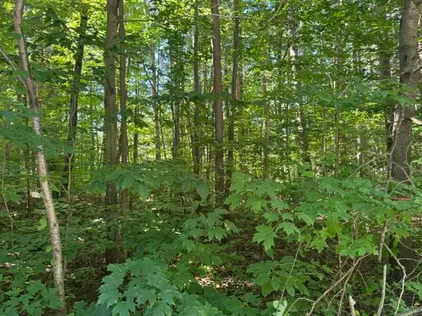 5818 Hunters Ridge, Fennville, MI 49408