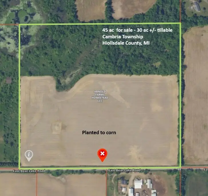1300 E Bear Lake Road, Hillsdale, MI 49242 - #2
