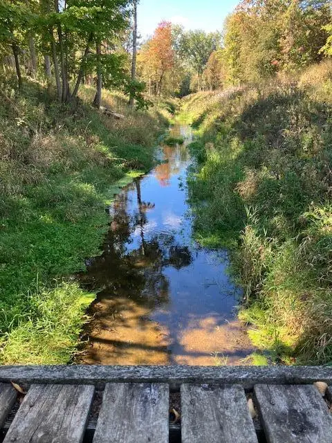 N Sheridan E, Sheridan, MI 48884 - #3