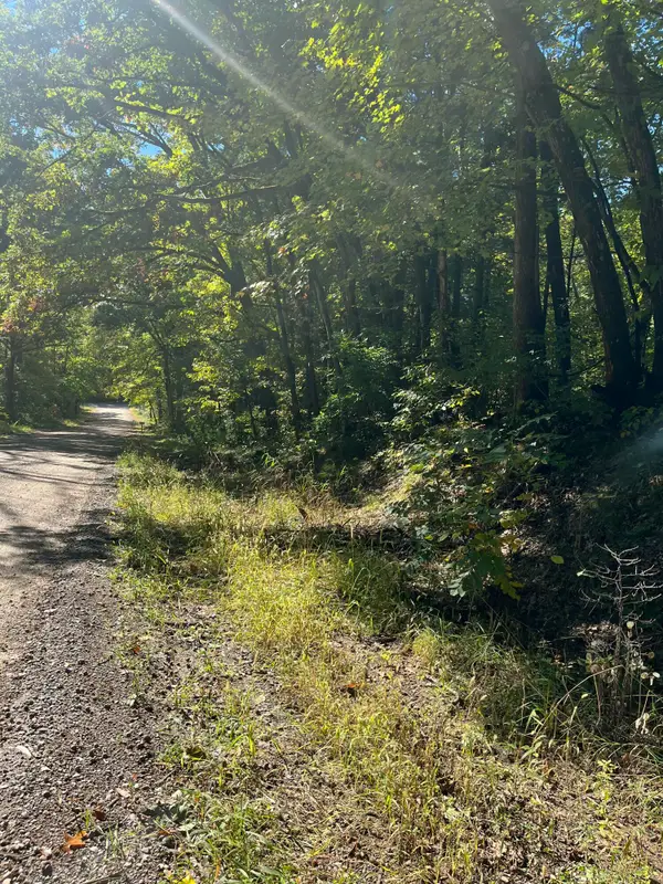 VL Sweeter Road, Twin Lake, MI 49457