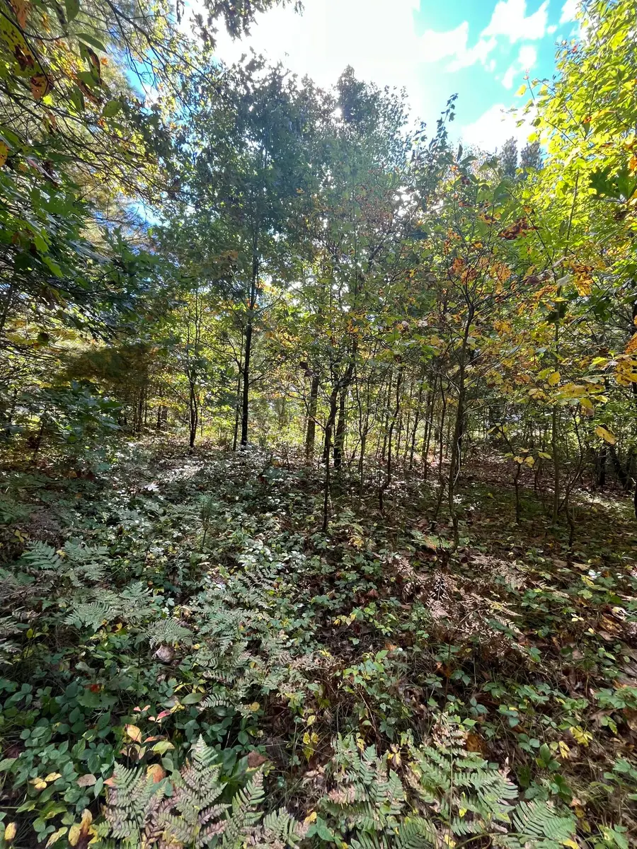 VL Sweeter Road, Twin Lake, MI 49457 - #3