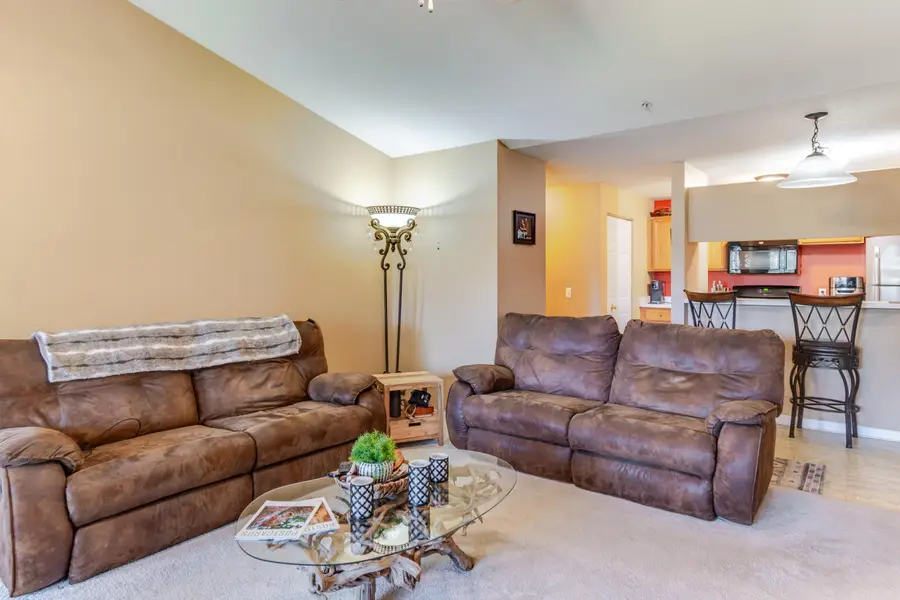 1137 Curzon Court #203, Howell, MI 48843 - #2