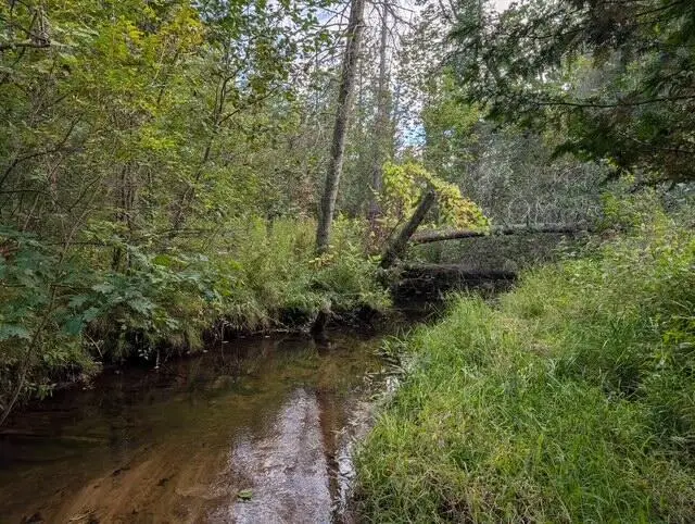 22313 10 Mile Road, Reed City, MI 49677 - #1