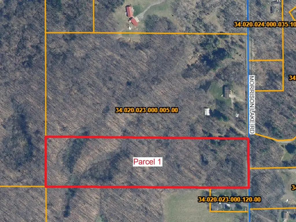 6286 Morrison Lake Road #Parcel 1, Saranac, MI 48881 - #1
