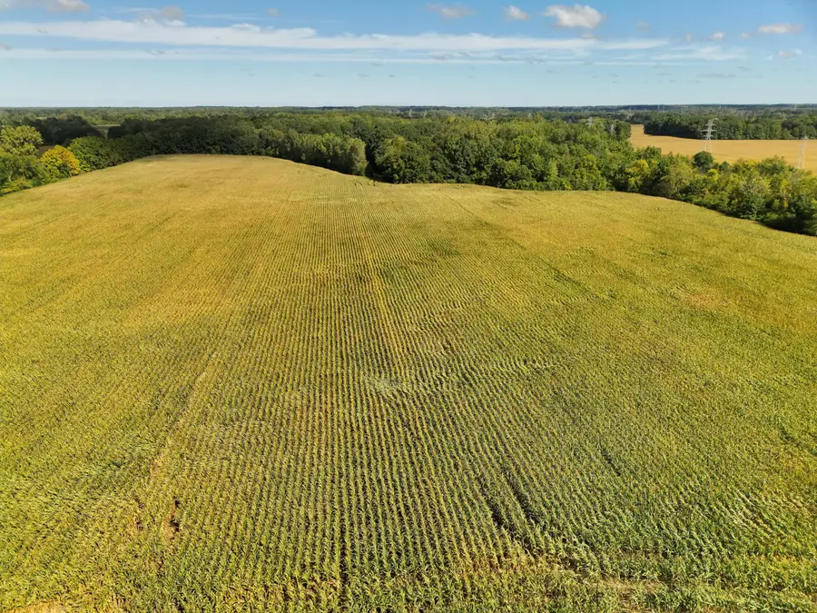 N Bray Road, Clio, MI 48420 - #2