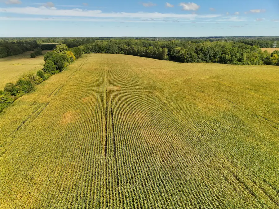 N Bray Road, Clio, MI 48420 - #3