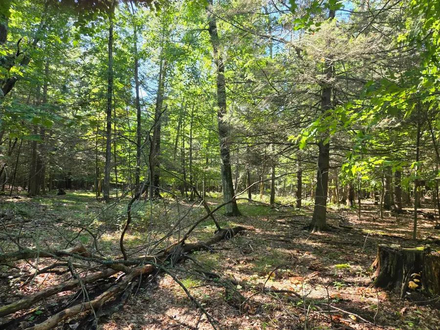 VL Indian Bay Road #11.5 Acres, Montague, MI 49437 - #2