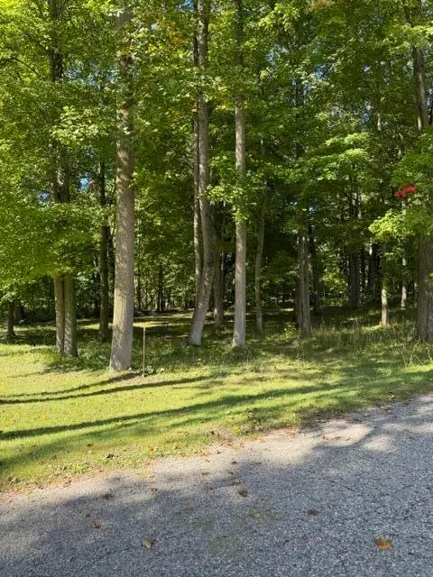 Timberlane Drive, Jones, MI 49061 - #1