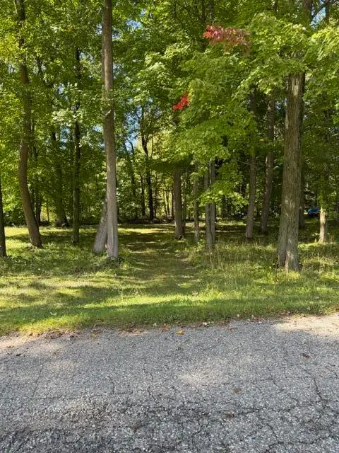 Timberlane Drive, Jones, MI 49061 - #2