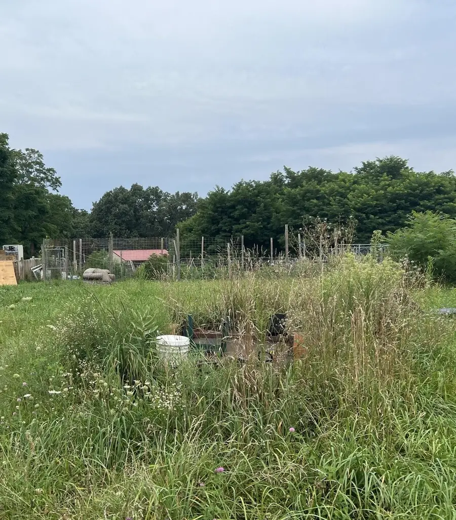 25114 Hospital Street, Cassopolis, MI 49031 - #2