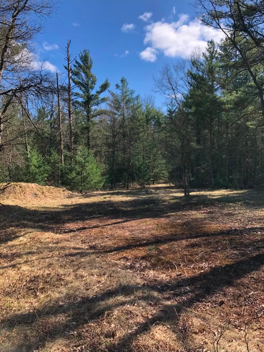 V/L Dalson Road, Holton, MI 49425 - #3