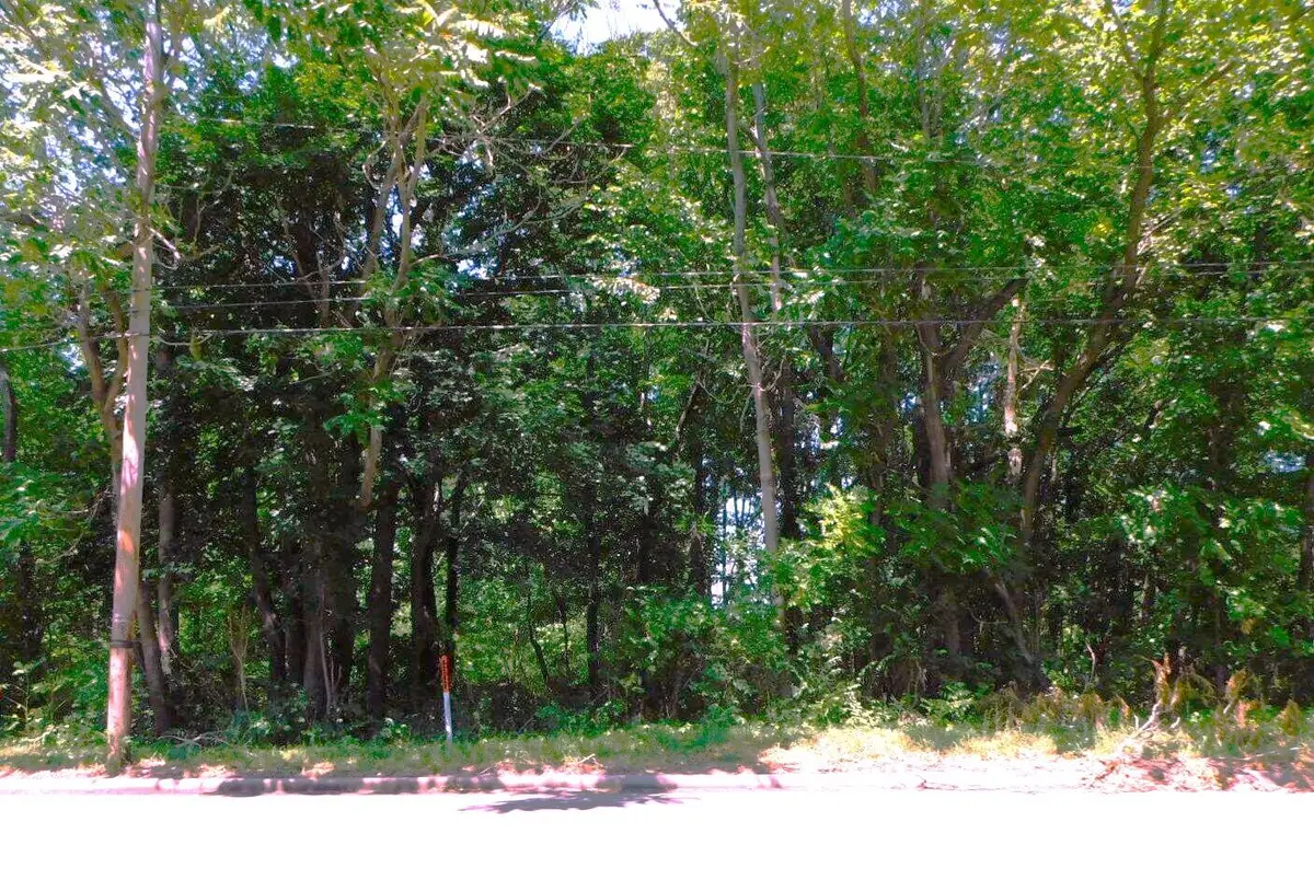 E Napier Avenue, Benton Harbor, MI 49022 - #1