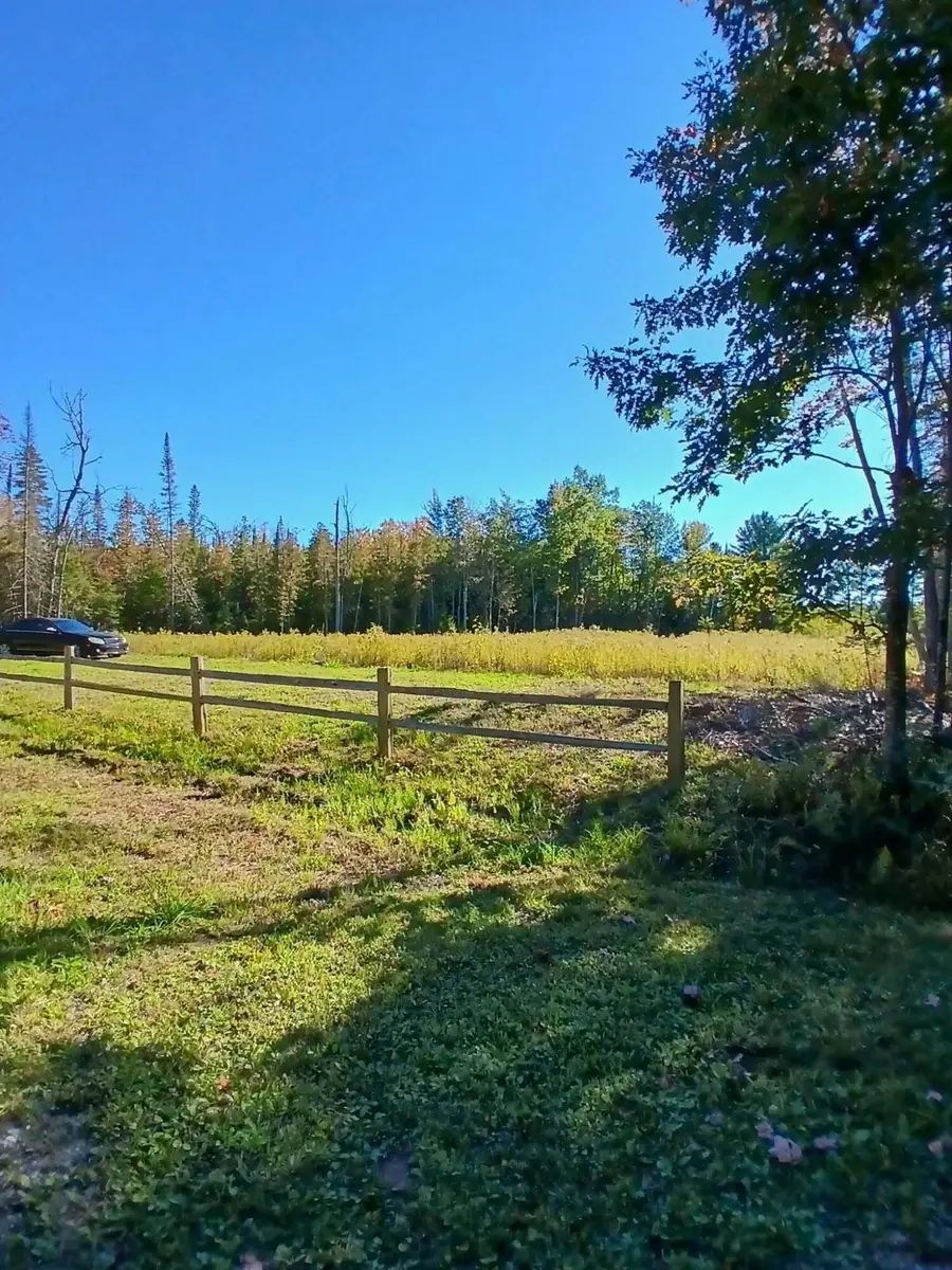 2625 River Bluff Drive, Alpena, MI 49707 - #2