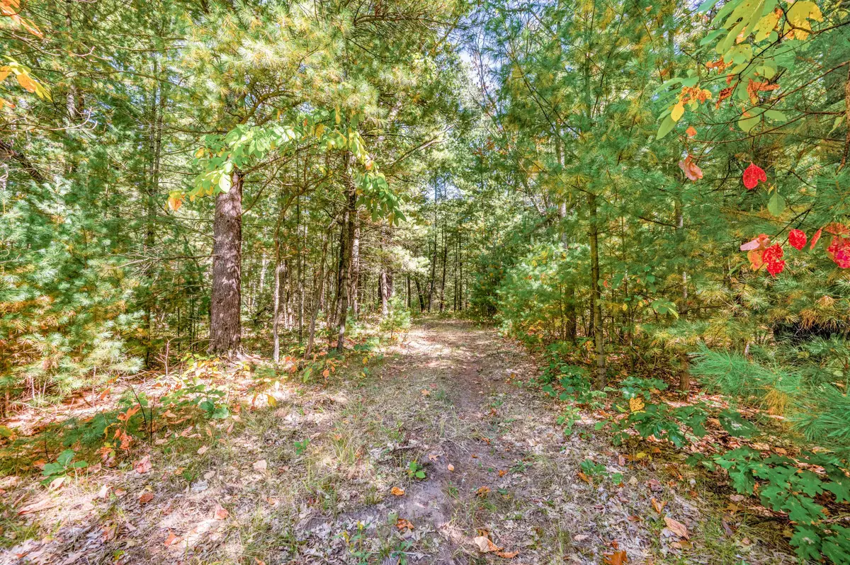 V/L 40 A S Locust Avenue, White Cloud, MI 49349 - #1