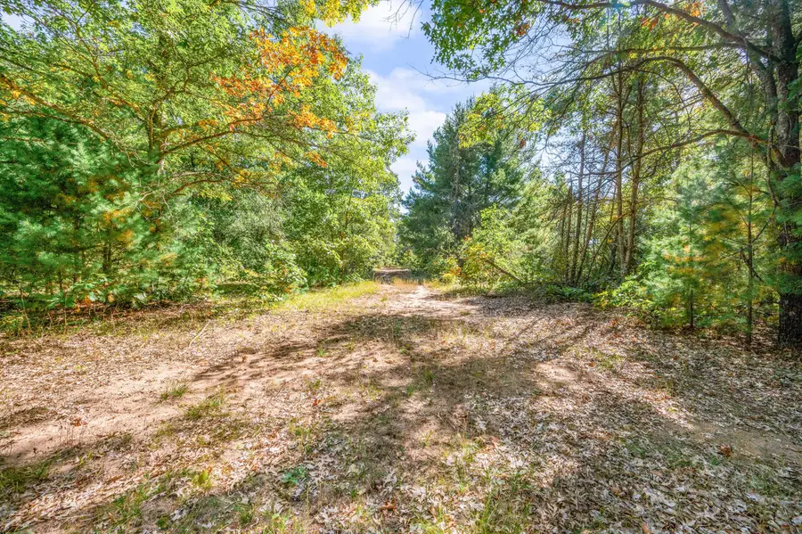 V/L 40 A S Locust Avenue, White Cloud, MI 49349 - #2