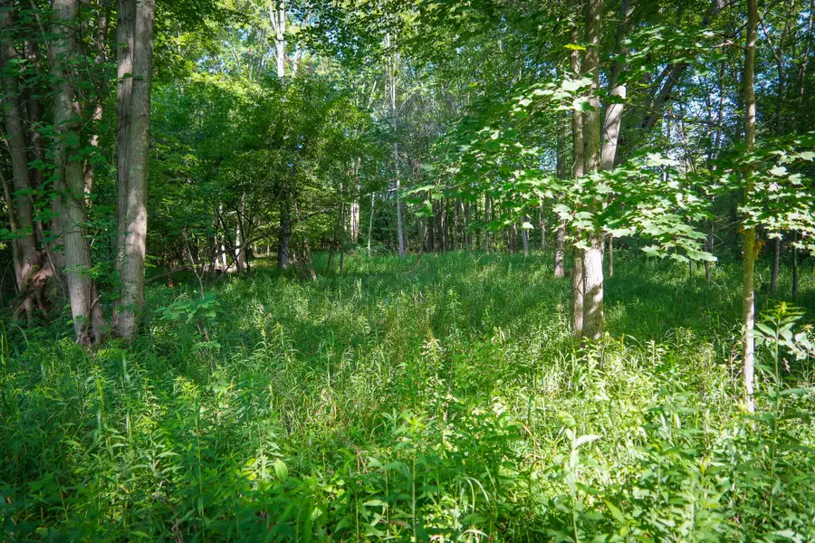 V/L 12A S 168th Avenue, Hesperia, MI 49421 - #2