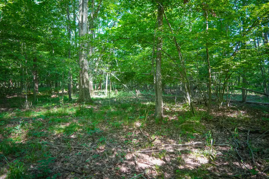 V/L 12A S 168th Avenue, Hesperia, MI 49421 - #3