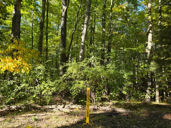 11980 Cape Breton Drive, Canadian Lakes, MI 49346