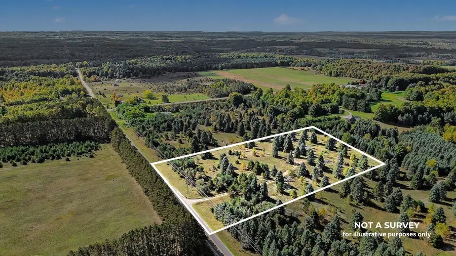 17194 Litzen Road, Copemish, MI 49625 - #3