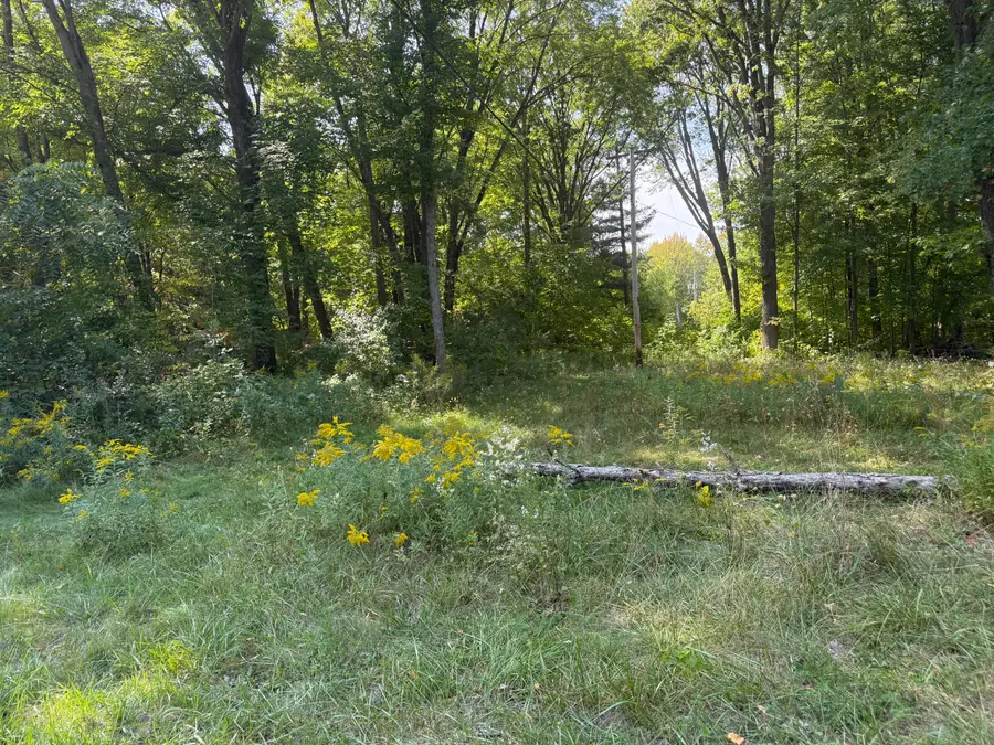 Carol Street, Newaygo, MI 49337 - #2