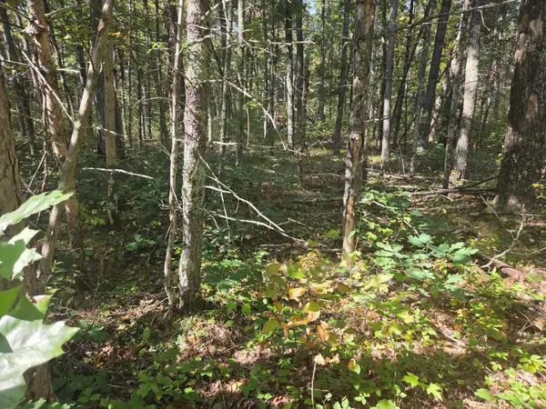 S Jeanne Drive, Baldwin, MI 49304