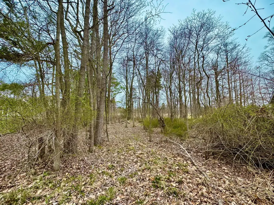 125 W Shore Drive, Douglas, MI 49406 - #3