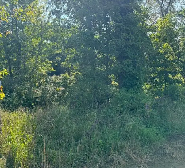 30, 40, 50 62nd, Decatur, MI 49045 - #3