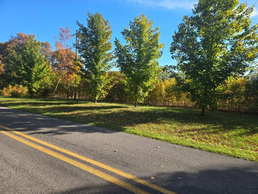 Parcel A N 72nd Avenue N, Hart, MI 49420 - #3