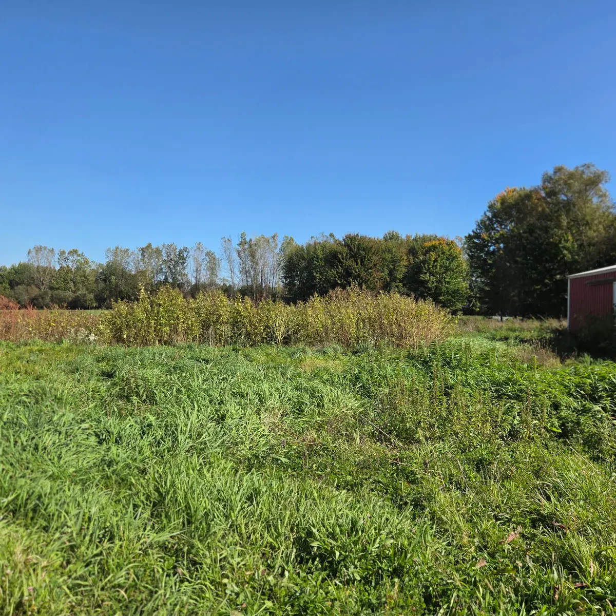 0 72nd Avenue, Hudsonville, MI 49426 - #1