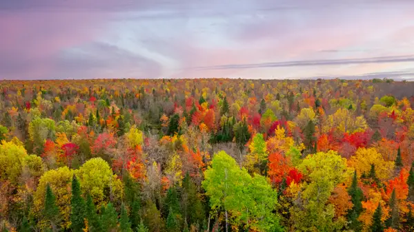 Lot 1 E Shore Road, Bergland, MI 49910