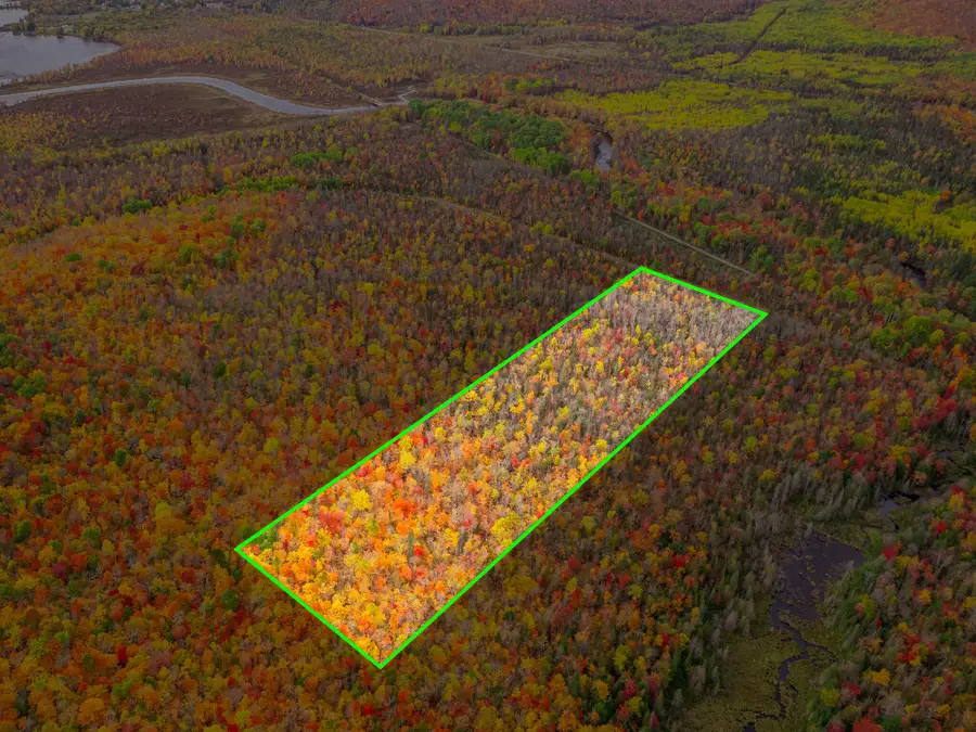 Lot 02 E Shore Road, Bergland, MI 49910 - #2