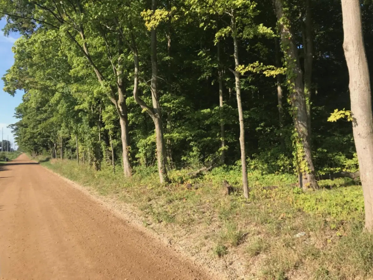 40 62nd Street, Decatur, MI 49045 - #1