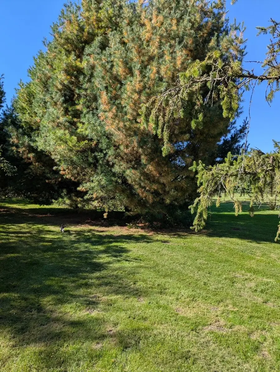 11130 Landon Road, Baroda, MI 49101 - #3