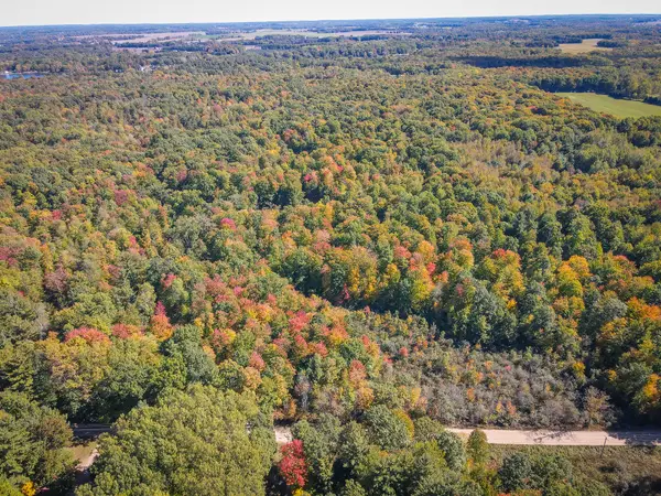 N Lake Road, Lakeview, MI 48850