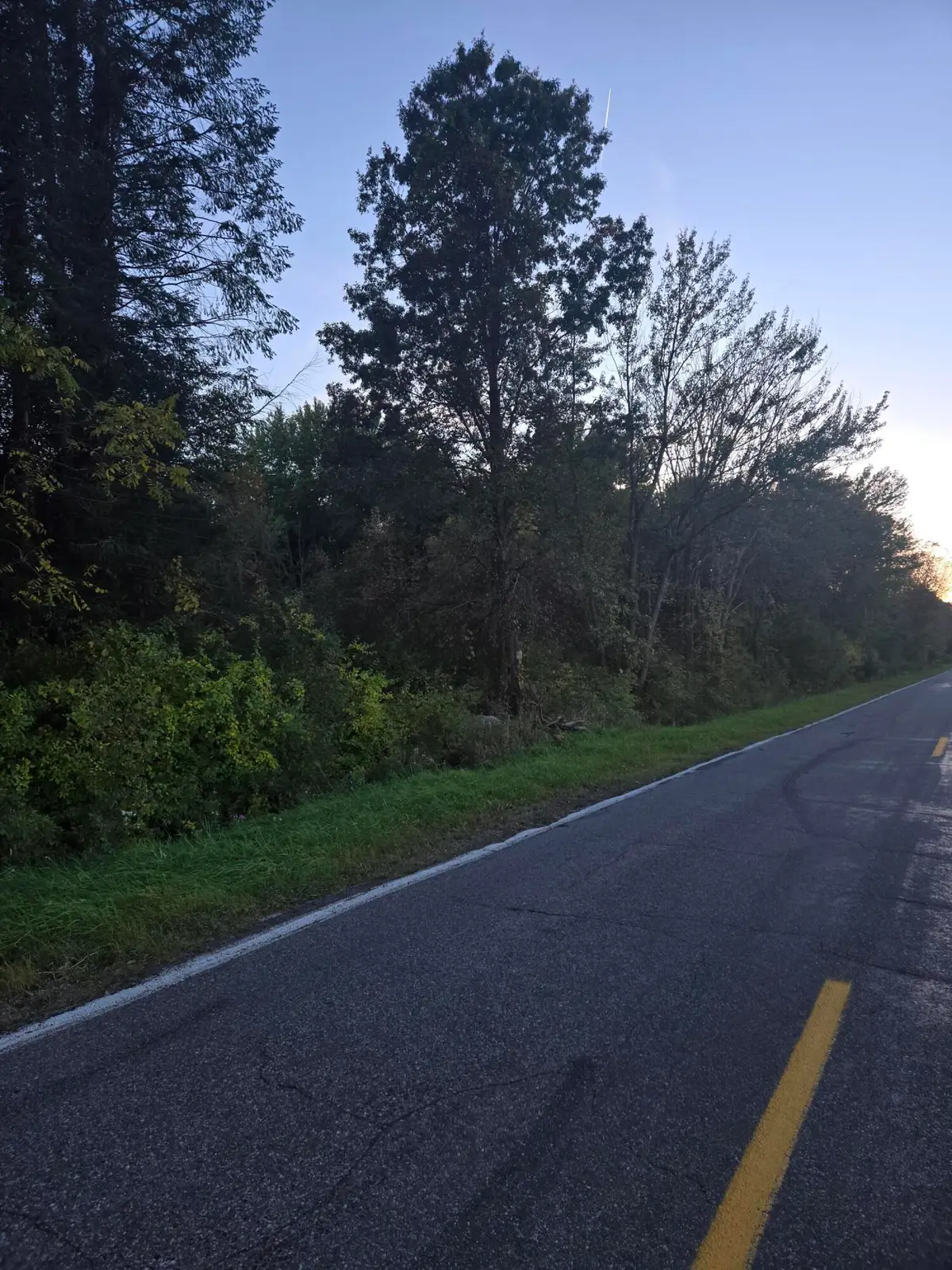 2064 Townline Road, Benton Harbor, MI 49022 - #1