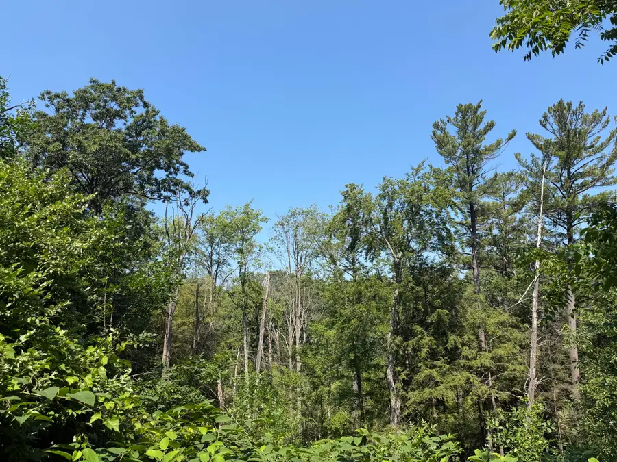 0 62nd St. Road, Saugatuck, MI 49453 - #2