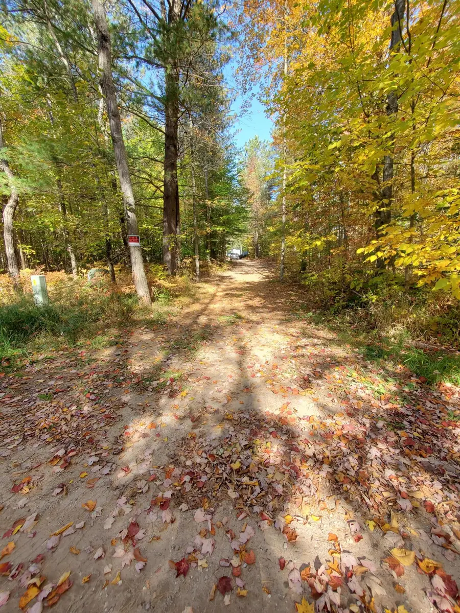11326 Berg Road, Kaleva, MI 49645 - #3