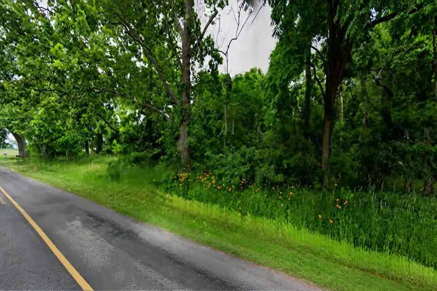 40674 24th Avenue, Gobles, MI 49055 - #2