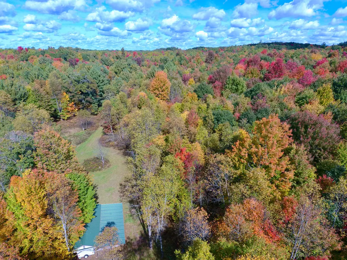 V/L S Bonney Road, Chase, MI 49623 - #1