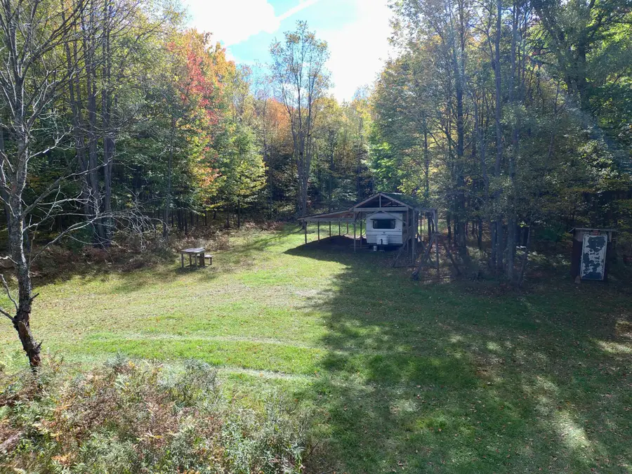 V/L S Bonney Road, Chase, MI 49623 - #3