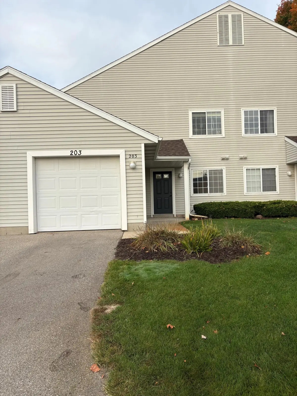203 Hunters Lane Ne, Rockford, MI 49341 - #1